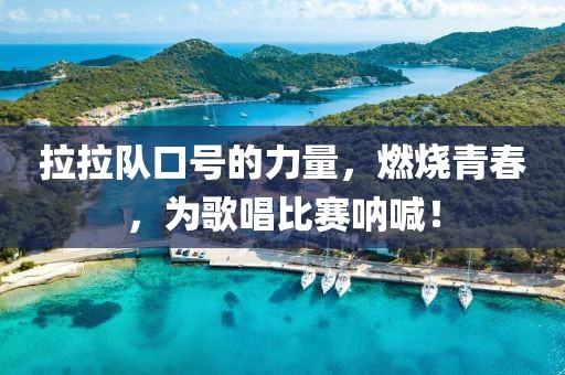 拉拉队口号的力量，燃烧青春，为歌唱比赛呐喊！