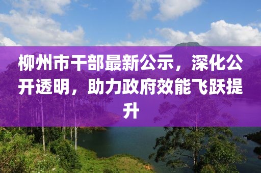 柳州市干部最新公示，深化公开透明，助力政府效能飞跃提升