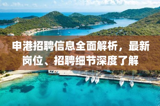 申港招聘信息全面解析，最新岗位、招聘细节深度了解