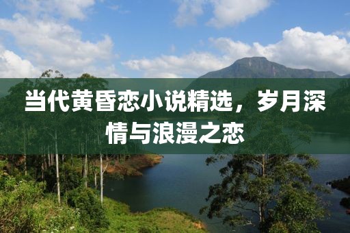 当代黄昏恋小说精选，岁月深情与浪漫之恋