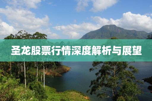 圣龙股票行情深度解析与展望