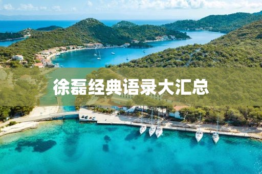 徐磊经典语录大汇总