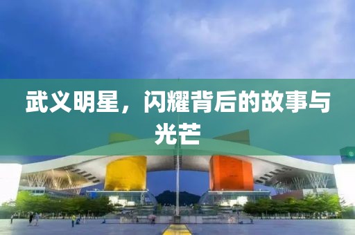 武义明星，闪耀背后的故事与光芒