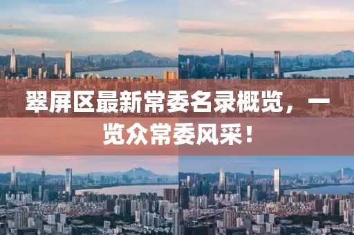 翠屏区最新常委名录概览，一览众常委风采！