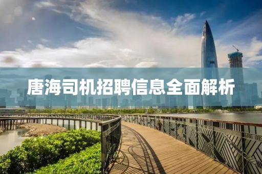 唐海司机招聘信息全面解析
