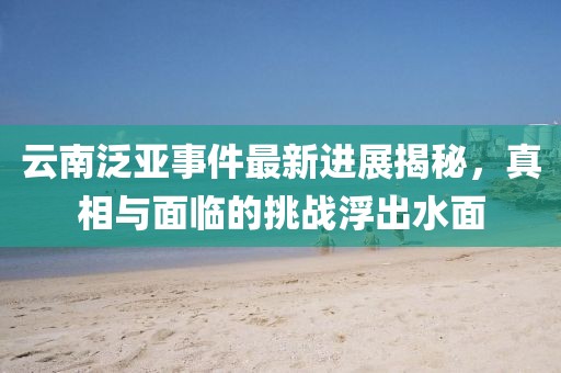 云南泛亚事件最新进展揭秘，真相与面临的挑战浮出水面