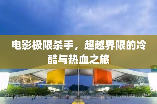 电影极限杀手，超越界限的冷酷与热血之旅
