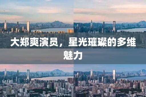大郑爽演员，星光璀璨的多维魅力