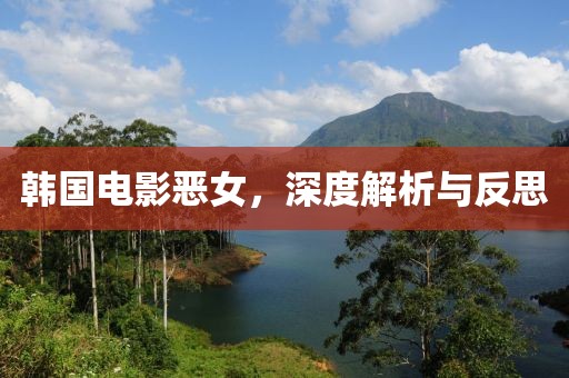 韩国电影恶女，深度解析与反思
