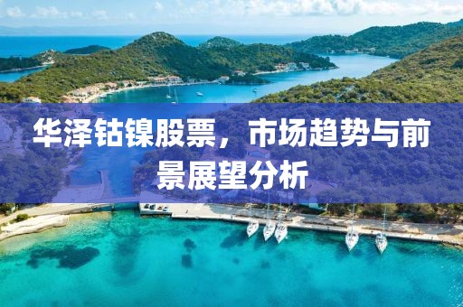 华泽钴镍股票，市场趋势与前景展望分析
