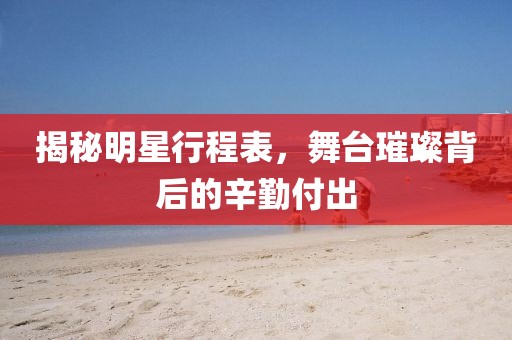 揭秘明星行程表，舞台璀璨背后的辛勤付出