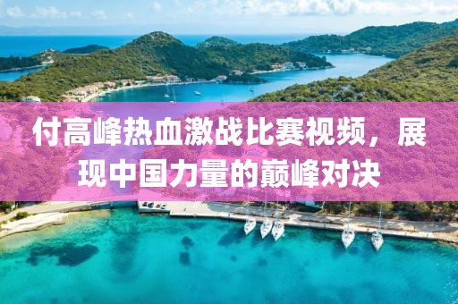 付高峰热血激战比赛视频，展现中国力量的巅峰对决