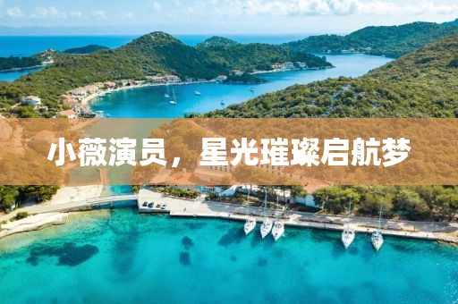 小薇演员，星光璀璨启航梦