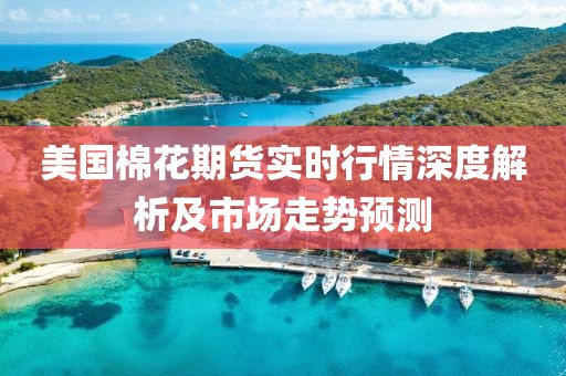 美国棉花期货实时行情深度解析及市场走势预测