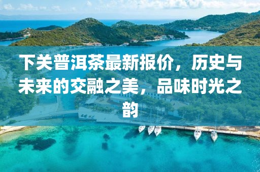 下关普洱茶最新报价，历史与未来的交融之美，品味时光之韵