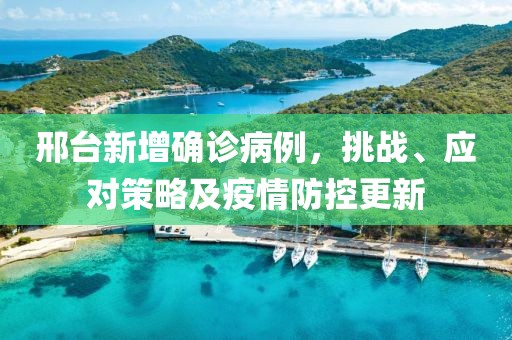 邢台新增确诊病例，挑战、应对策略及疫情防控更新