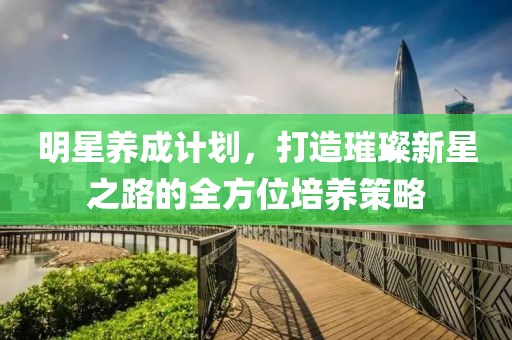 明星养成计划，打造璀璨新星之路的全方位培养策略