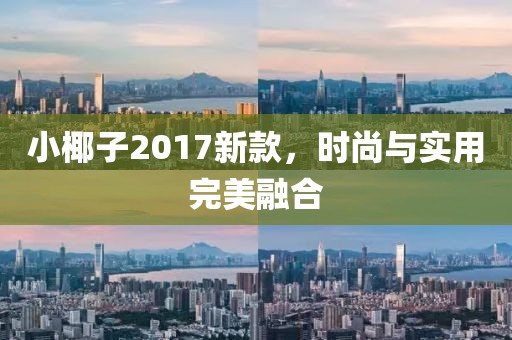 小椰子2017新款，时尚与实用完美融合