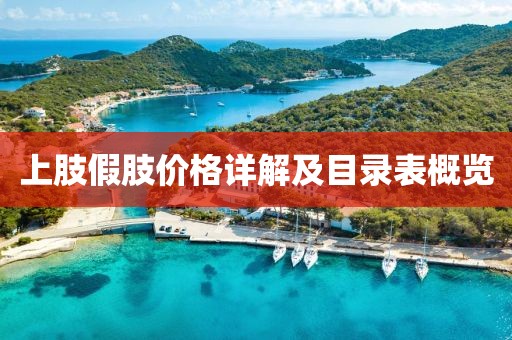 上肢假肢价格详解及目录表概览