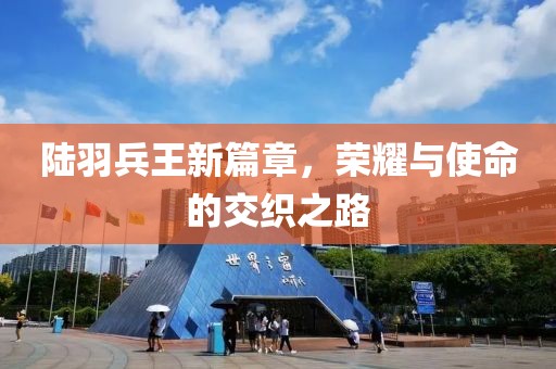 陆羽兵王新篇章，荣耀与使命的交织之路