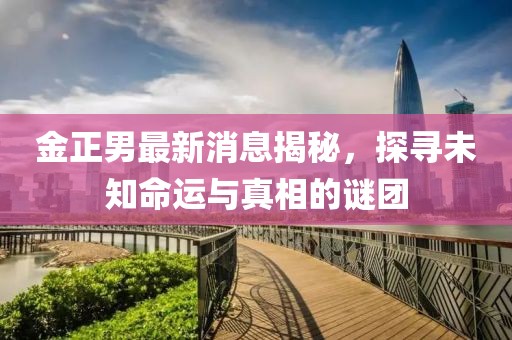 金正男最新消息揭秘，探寻未知命运与真相的谜团