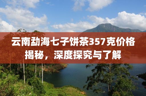 云南勐海七子饼茶357克价格揭秘，深度探究与了解