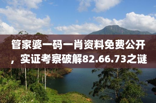 管家婆一码一肖资料免费公开，实证考察破解82.66.73之谜