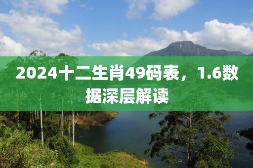 2024十二生肖49码表，1.6数据深层解读