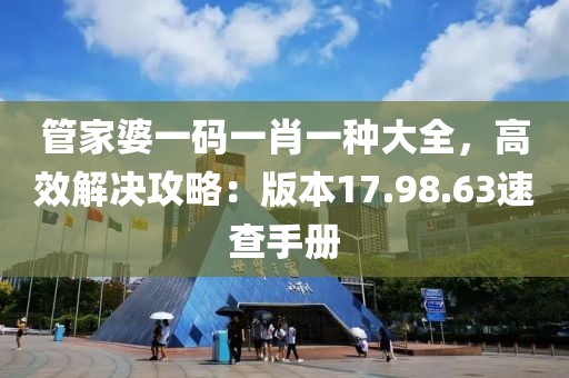 管家婆一码一肖一种大全，高效解决攻略：版本17.98.63速查手册