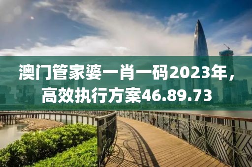 澳门管家婆一肖一码2023年，高效执行方案46.89.73