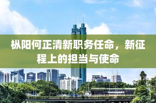 枞阳何正清新职务任命，新征程上的担当与使命