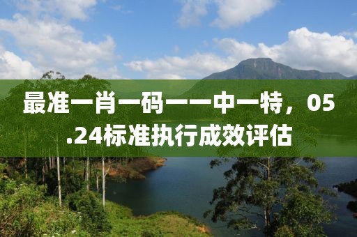 最准一肖一码一一中一特，05.24标准执行成效评估