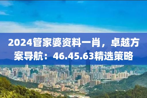 2024管家婆资料一肖，卓越方案导航：46.45.63精选策略