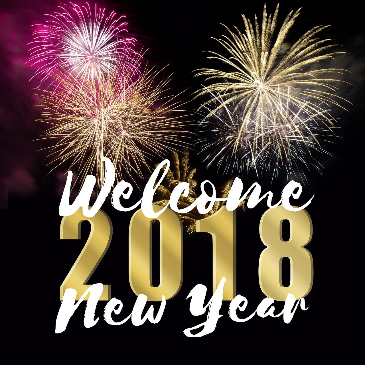 2024年12月 第416页