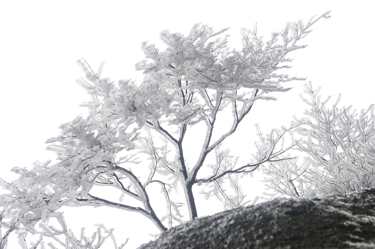 江南烟雨新篇，诗意画卷中的时代变迁与变迁史诗
