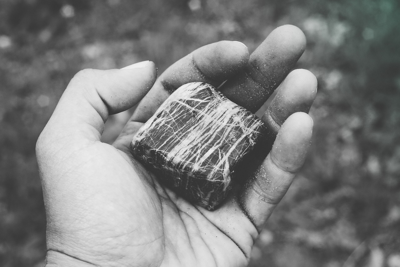靳广才最新动态，领袖人物的进步与未来展望揭秘