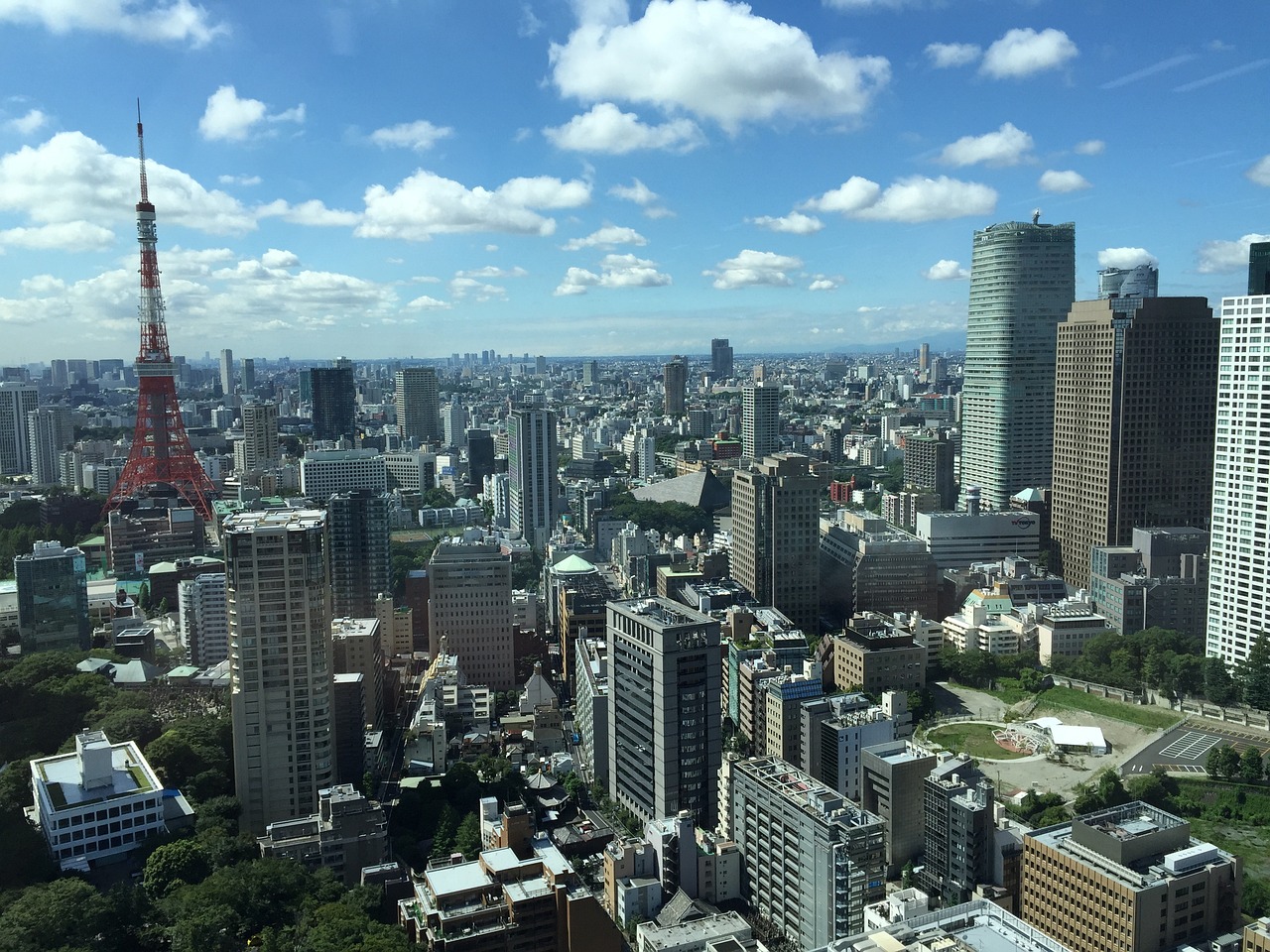 居晟睿 第4页