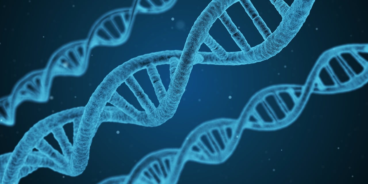 揭秘未知世界，最新化学物质发现揭示未知奥秘