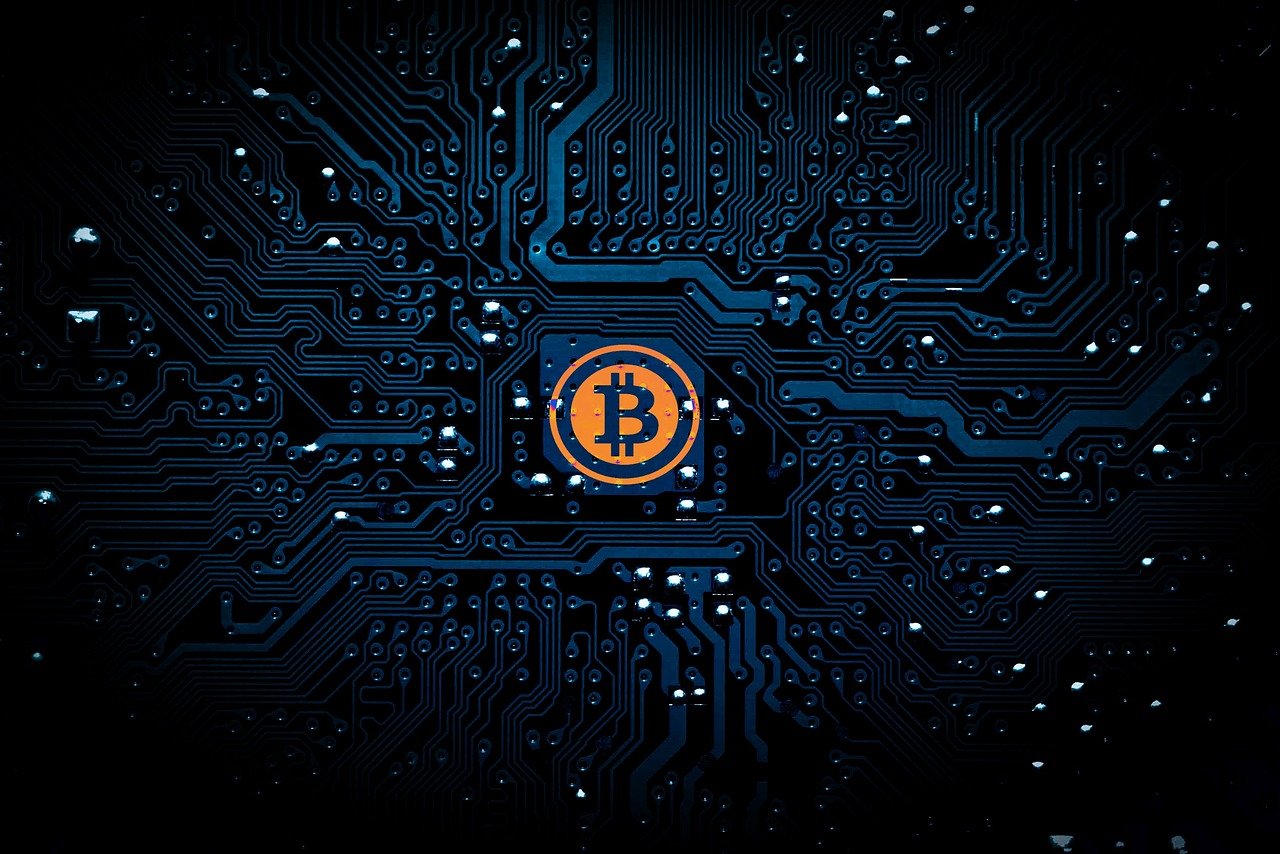 秦朗，演员之路的璀璨光芒