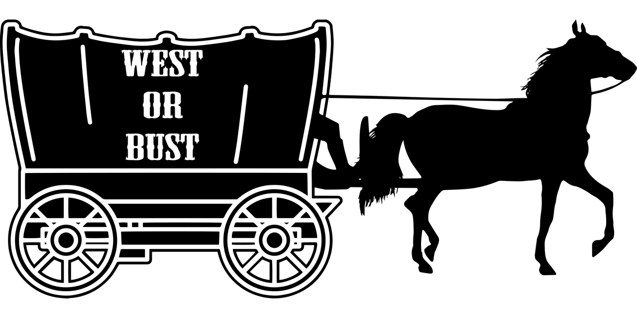 龚家龙最新动态，引领前沿科技，行业创新先锋