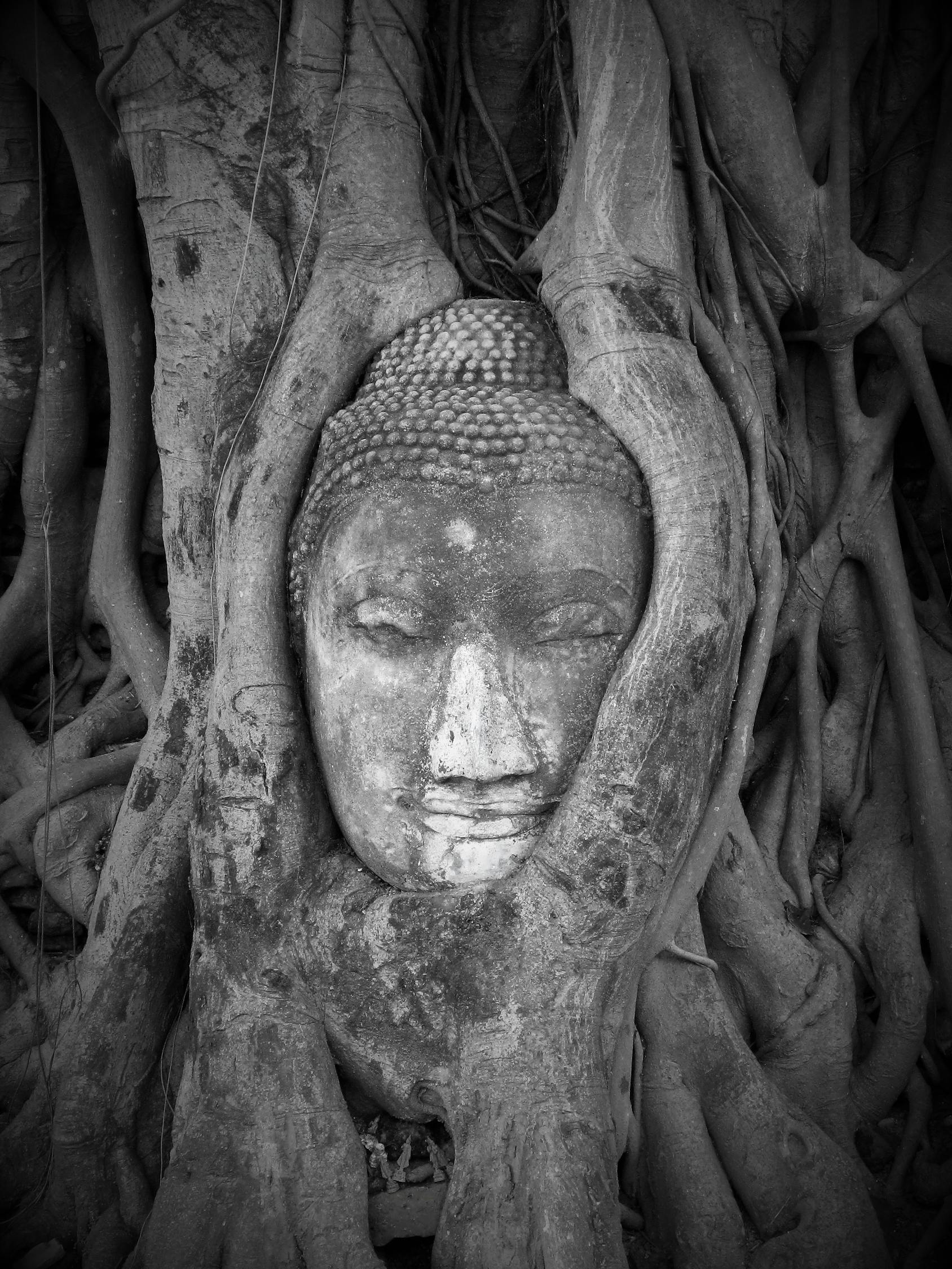 黑白画人物动漫，独特艺术魅力与表现手法探究