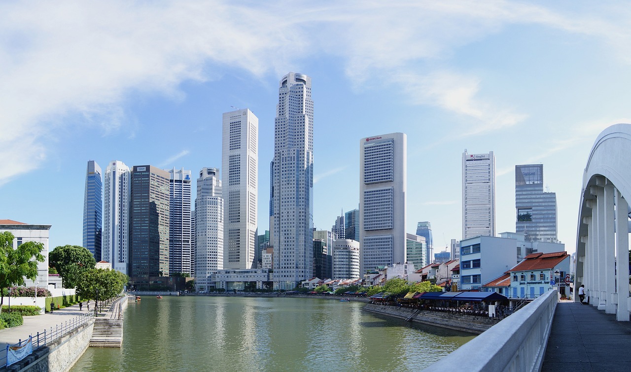隔岸路更新资讯，探索前沿，预见未来趋势